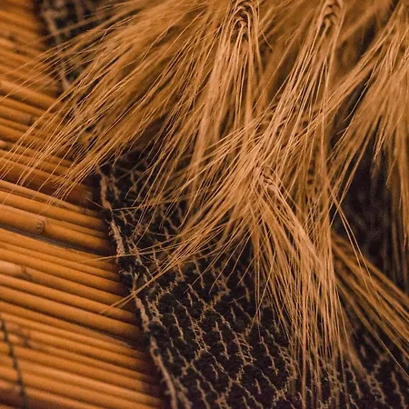 S'aposentu 3* Муравьера